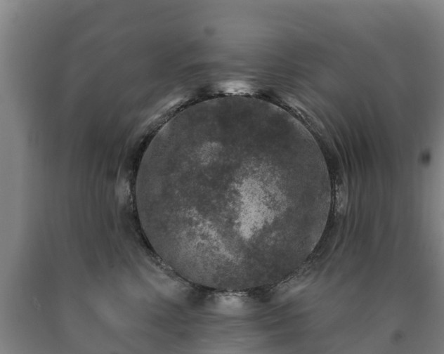 X0000090730618200707271405