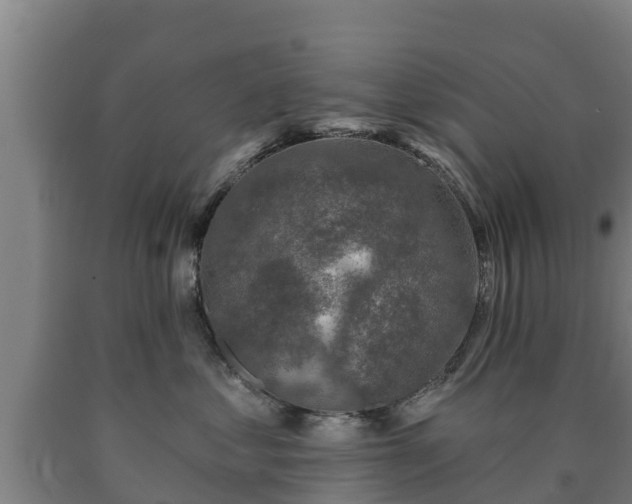 X0000090730621200707271405