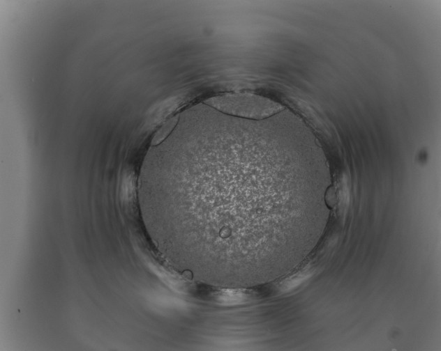 X0000090730623200707271405