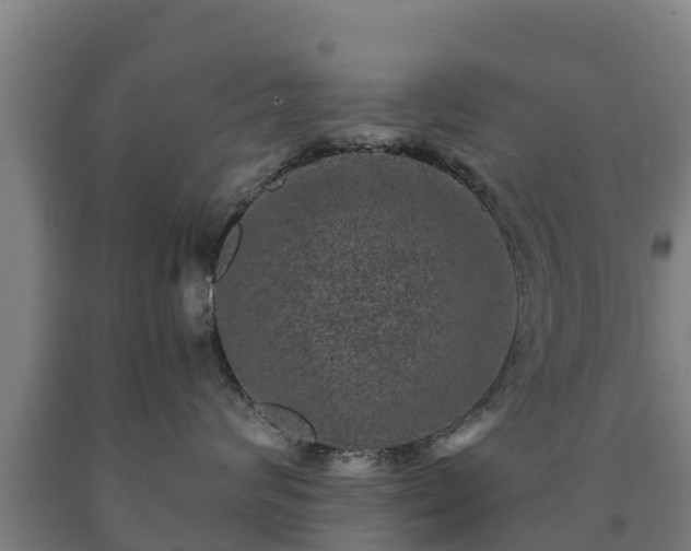 X0000090730624200707271405
