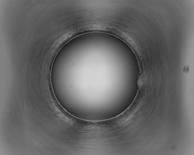 X0000090730625200707271404