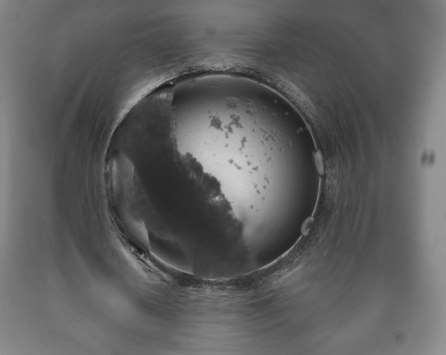 X0000090730626200707271404