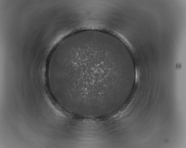 X0000090730627200707271404