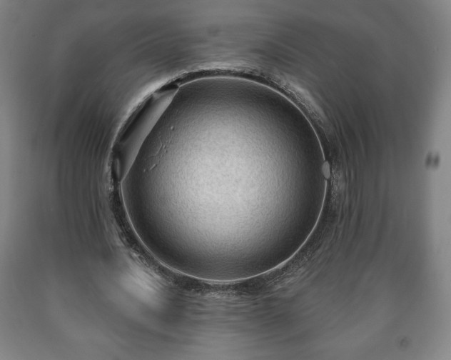 X0000090730628200707271404