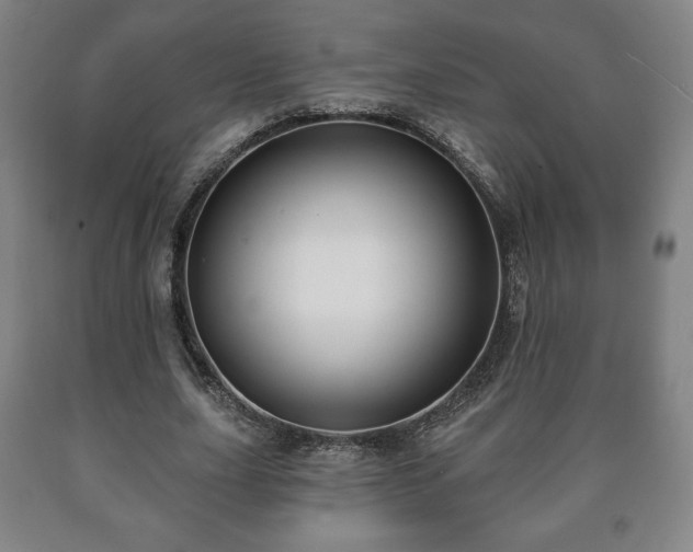 X0000090730631200707271404