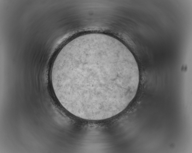X0000090730632200707271404