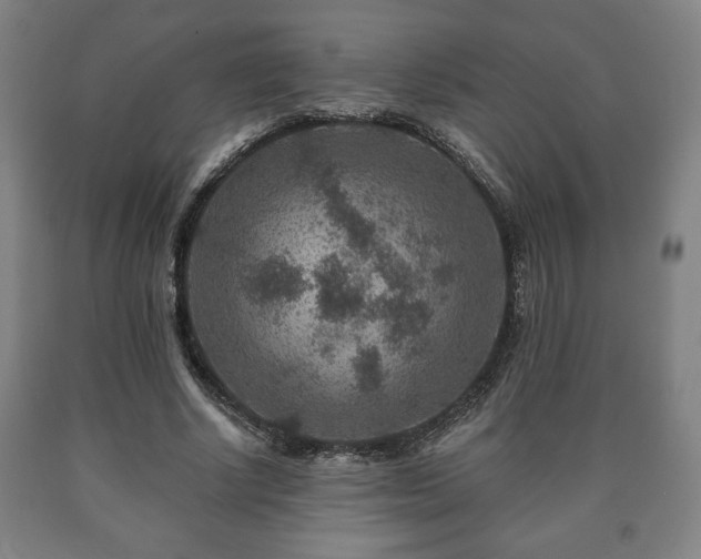 X0000090730634200707271404