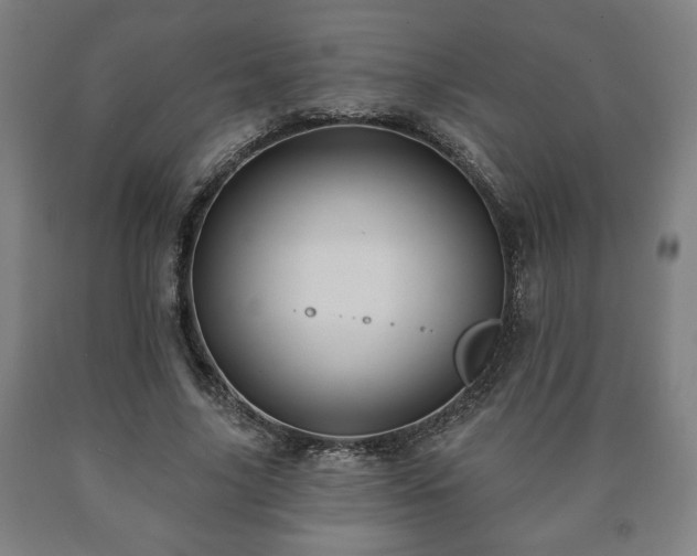 X0000090730635200707271404
