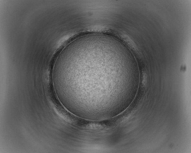 X0000090730636200707271404
