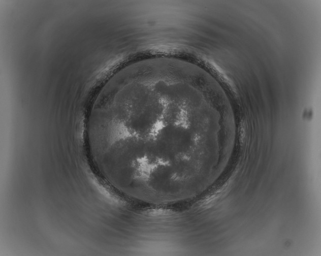 X0000090730637200707271404