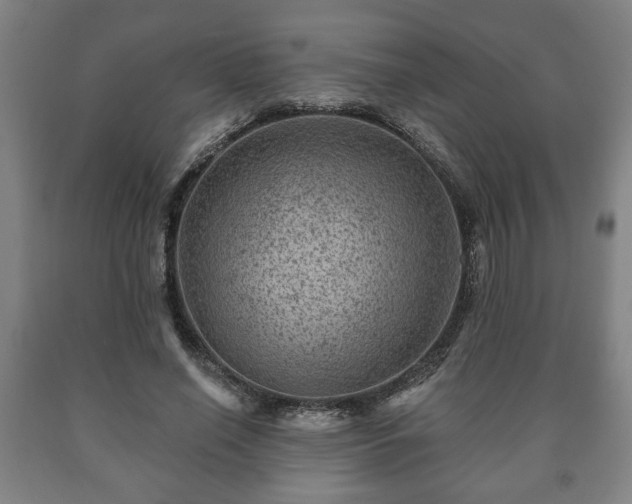 X0000090730638200707271404