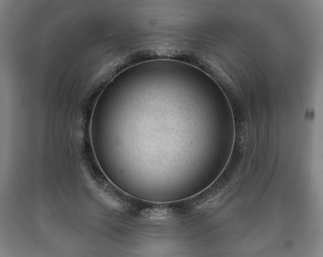 X0000090730639200707271404