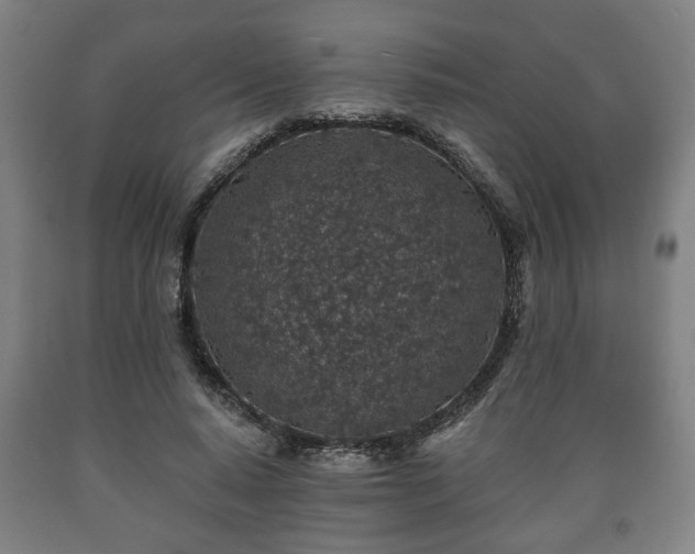 X0000090730640200707271404