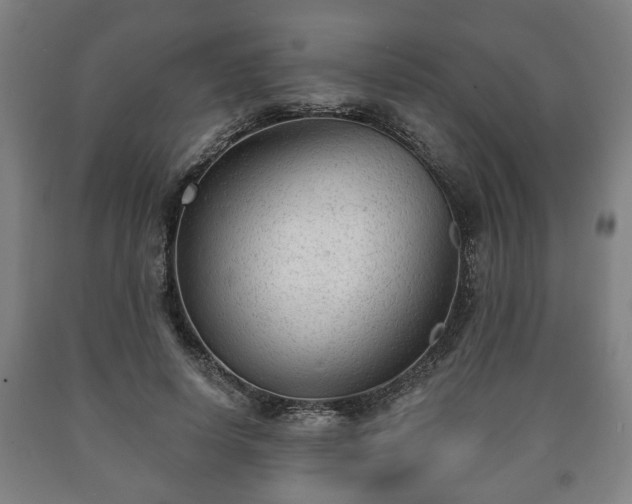 X0000090730642200707271404
