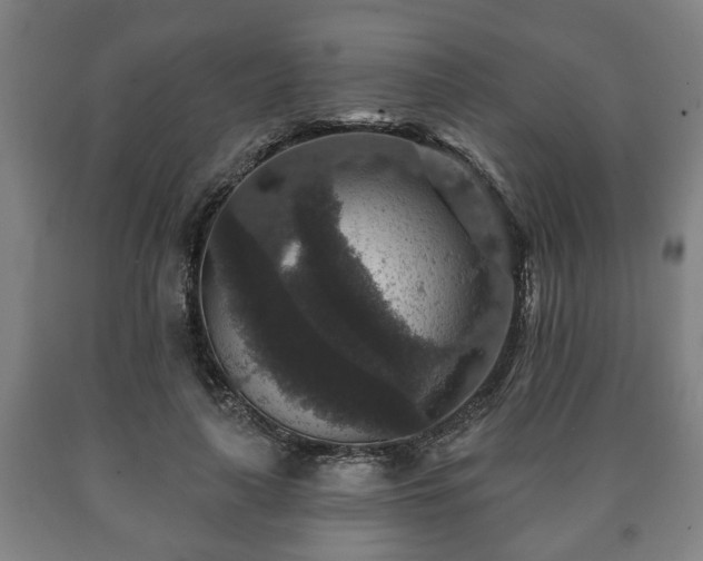 X0000090730643200707271404