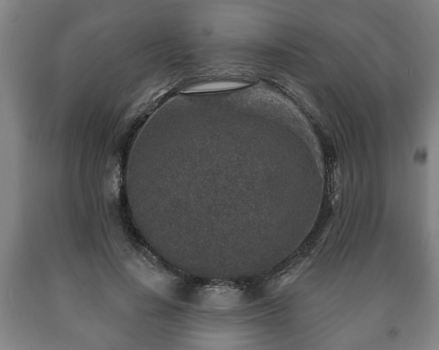 X0000090730644200707271404