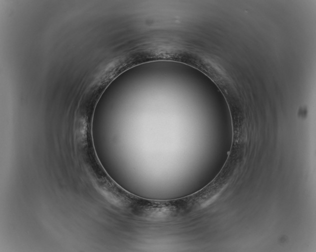X0000090730646200707271404