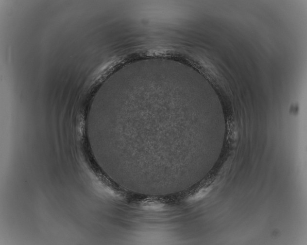 X0000090730648200707271404