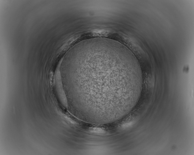 X0000090730649200707271404