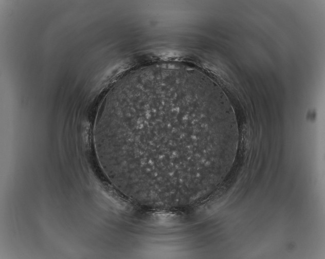 X0000090730650200707271404