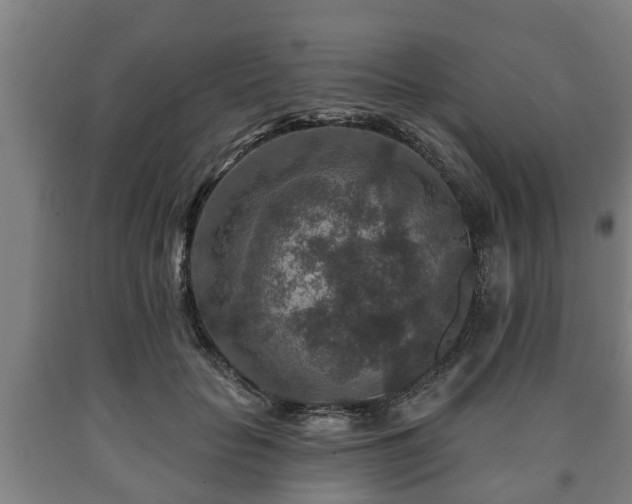 X0000090730653200707271404