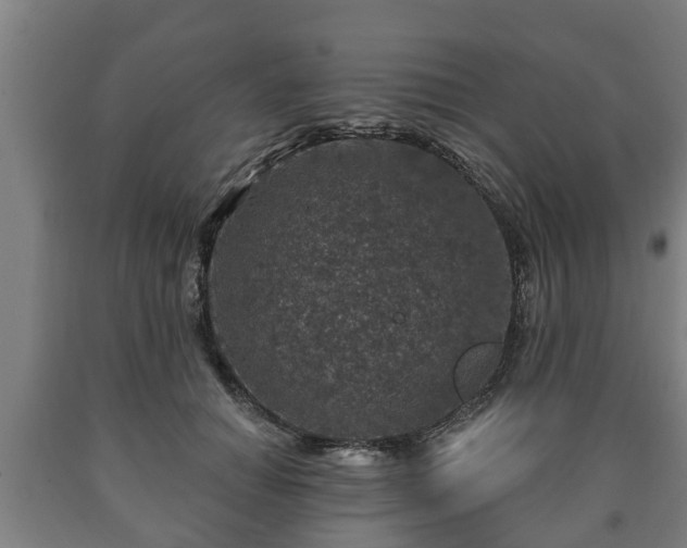 X0000090730654200707271404