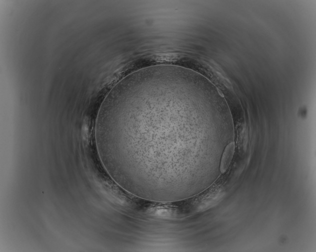 X0000090730655200707271404