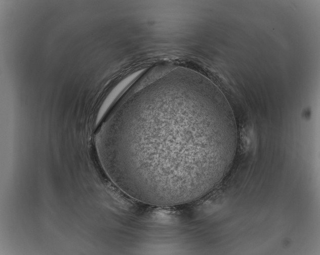 X0000090730657200707271404