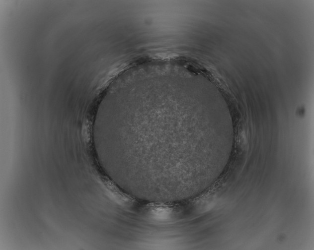 X0000090730658200707271404
