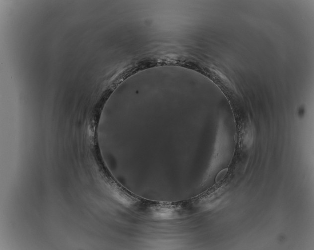 X0000090730661200707271404