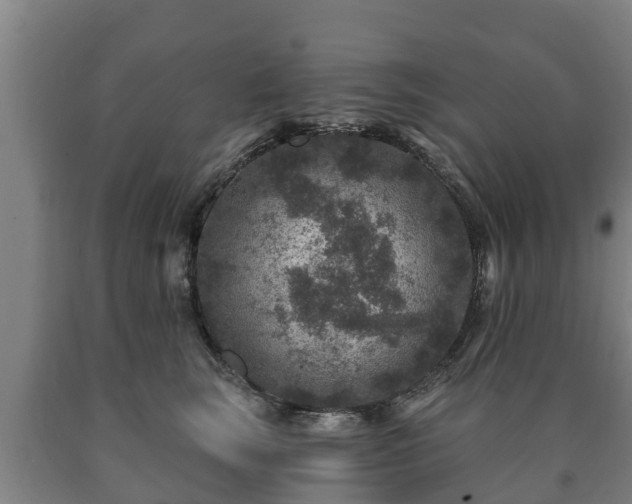 X0000090730663200707271404