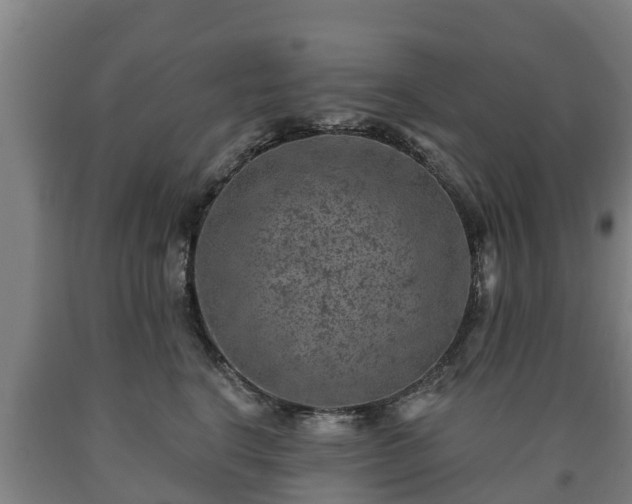 X0000090730664200707271404