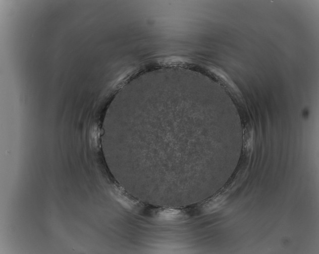 X0000090730669200707271404