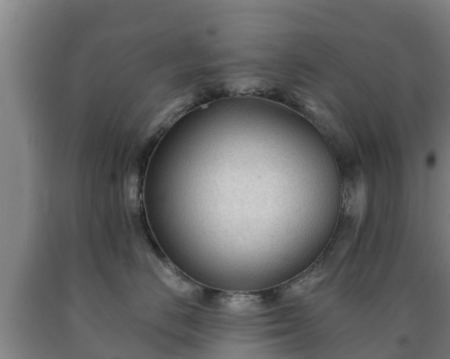 X0000090730670200707271404