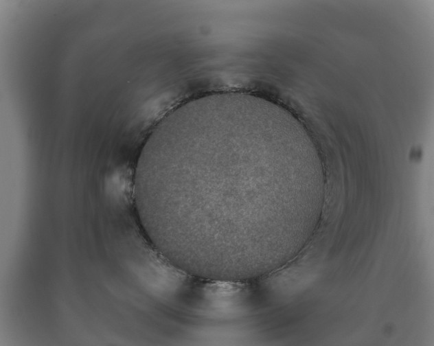X0000090730672200707271405