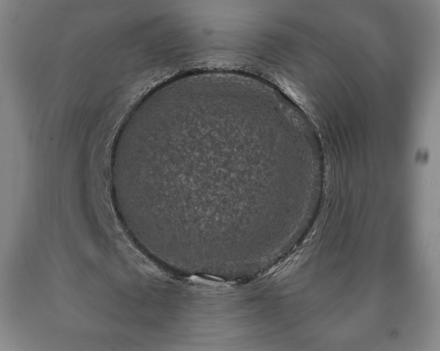 X0000090730673200707271404