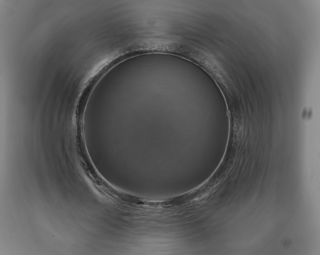 X0000090730674200707271404
