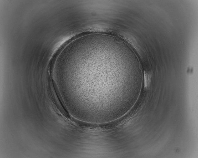 X0000090730675200707271404