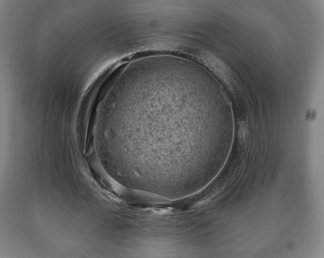 X0000090730676200707271404