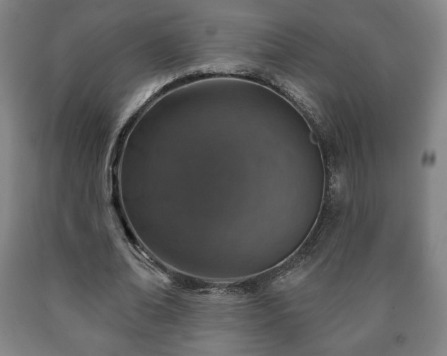 X0000090730678200707271404