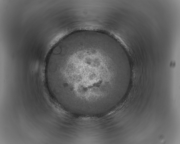 X0000090730679200707271404
