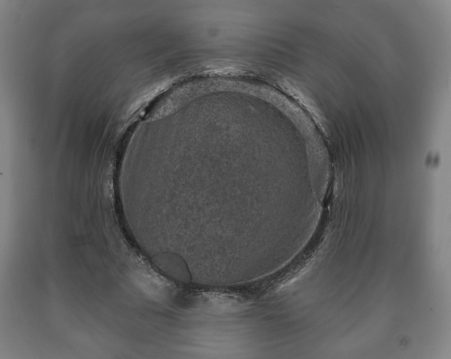 X0000090730681200707271403