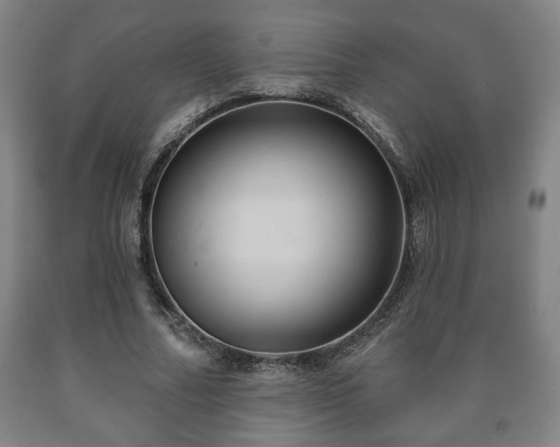 X0000090730682200707271403
