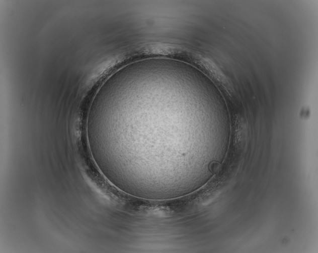 X0000090730683200707271403