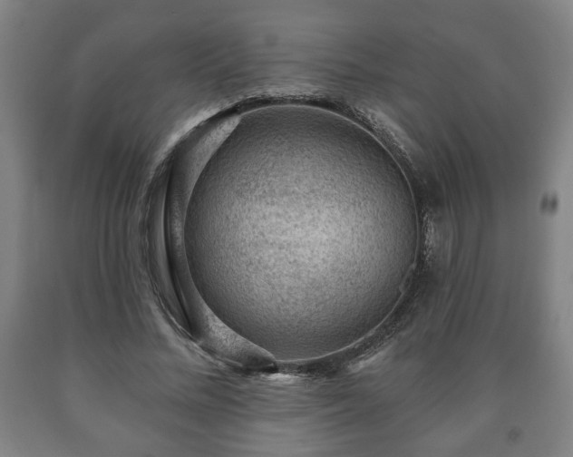 X0000090730684200707271403