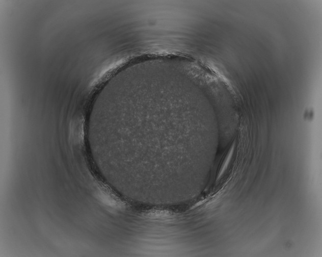 X0000090730685200707271403