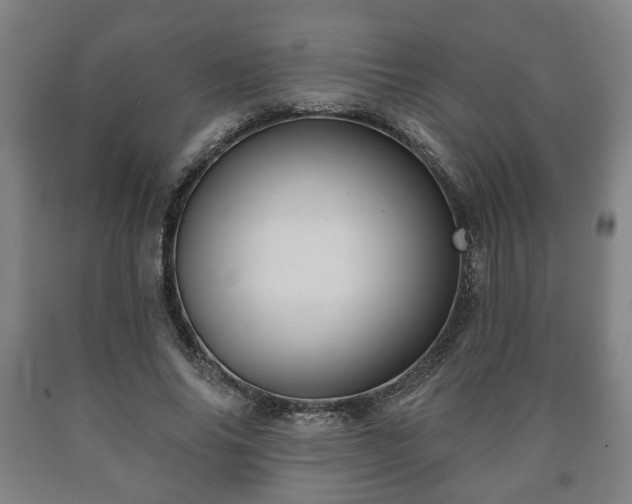 X0000090730686200707271403