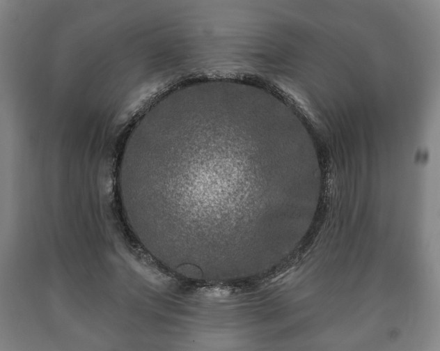 X0000090730687200707271403