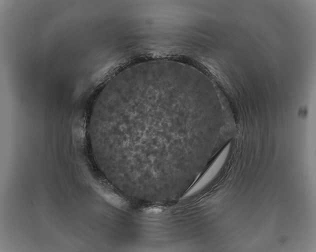 X0000090730691200707271403