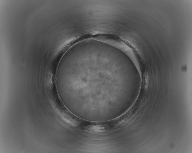 X0000090730692200707271403